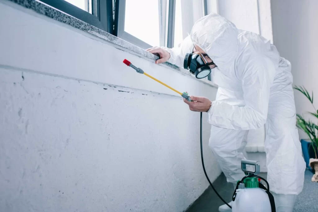 The Benefits of Professional Pest Control Mississauga